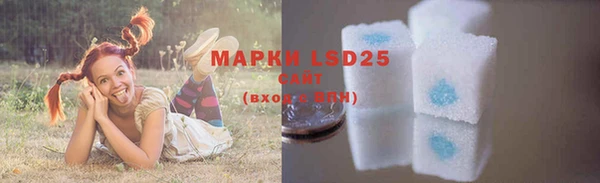 ECSTASY Волосово
