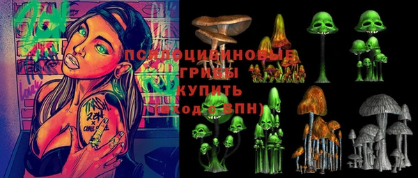 сатива Вязники